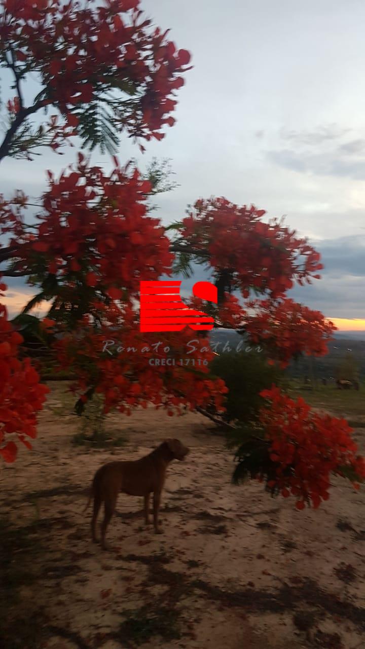 Fazenda à venda com 3 quartos, 500m² - Foto 15