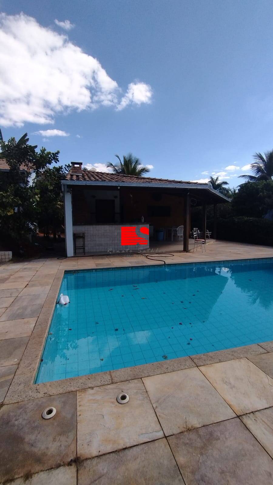 Casa para alugar com 4 quartos - Foto 4